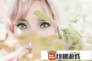 国内外软件下载网站排名对比，哪个更适合你的需求？