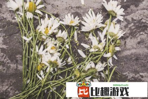 林磊儿你对得起小姨吗？亲情与道德的拷问