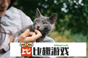 .C-起草官网登录入口在哪里？官方网址及登录教程