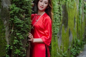 夜叉御魂属性优先级：暴击爆伤如何平衡？