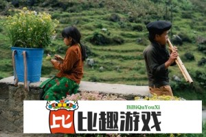 电脑视频软件推荐——让你畅享高清视听体验
