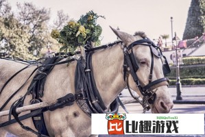 究竟是叫爸爸还是叫老公？—揭秘韩国电视剧中的情感纠葛