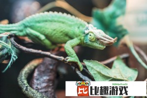 如何在压力山大的生活中获得一瞬的解脱？探索