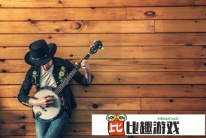 兽形灵者出什么装伤害最高？爆发流与持续输出对比