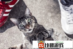 央视曝光剧本式直播诈骗套路：直播间里的“演员”和“托儿”