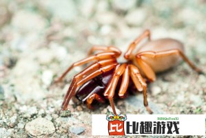 外资唱多做多中国资产，A股牛市要来了吗？
