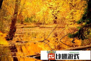 快递员与老婆一下午的私密接触，细节曝光！
