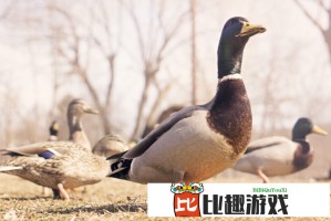安徽铁塔不雅视频涉事员工身份曝光 公司启动法律追责程序