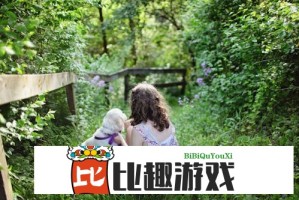 从素人到顶流：我当了明星就这样逆袭的励志故事