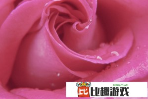 母亲节送什么礼物给妈妈？不同年龄段妈妈的礼物攻略