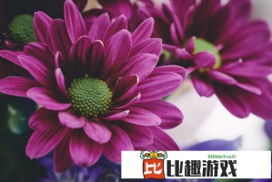 粉色张艺兴舞台炸裂 实力演绎什么叫又甜又酷