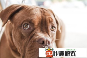 星巴克无糖新时代VS传统饮品，谁更胜一筹？