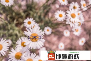 京东美团均称不存在二选一 双方回应平台竞争争议