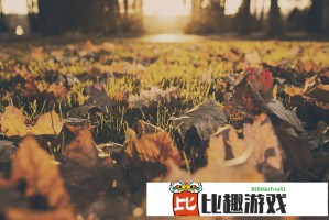成都一地被曝发现大量流浪猫 市民担忧卫生隐患