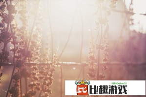 逐玉首发预告定档，上映日期正式公布