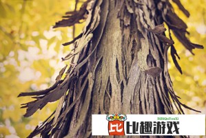 英雄如约而至攻略大全   保姆级避坑攻略