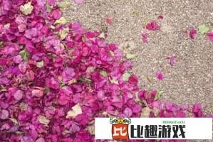 普通家庭养娃一年的真实费用大揭秘！这些钱都花在哪了？