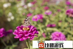亚洲无人区码卡二卡三卡合法吗？专家解读相关法律法规