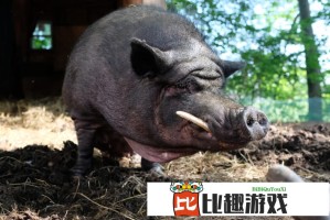 YSL黑管口红水蜜桃色：约会通勤都合适的温柔斩男色