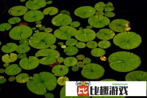 CBA常规赛最佳阵容出炉！谁是本赛季最大赢家？