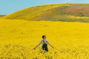 数据中心股早盘普涨 金山云涨逾新意网集团涨逾