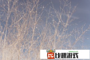 两国总统同晚抵达北京，这次会晤将聚焦哪些议题？