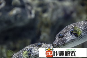 阿里云郑园：技术工具是企业数字化转型的必要条件