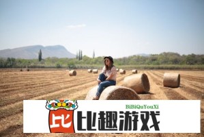 ady映画防弊屏电影体验报告：真的能防偷拍吗？