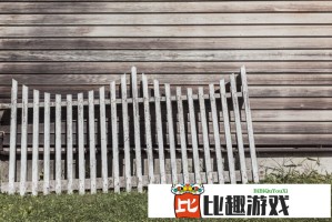 萨巴伦卡斯图加特四亚：球迷们为何如此狂热？