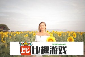 藏海传张本与同类作品对比，谁更胜一筹？