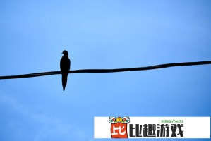 关税政策冲击美国港口 中国制造难以取代