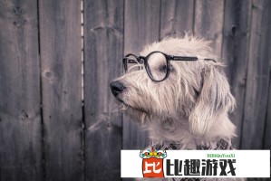 美国主持人贯口揭秘：年家庭开支将因这些涨价而增加