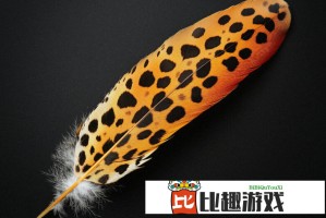 杨超越vava事件后续 道歉回复内容被赞大气