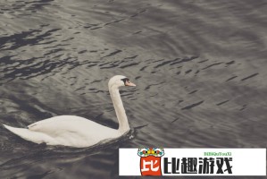 舌头探洞感觉要喷了水怎么回事？专家解析原因与应对方法
