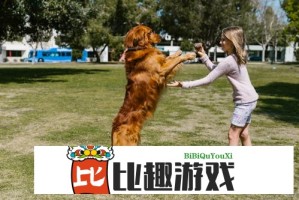 三十中插秧方法：夫妻幸福生活的必备指南