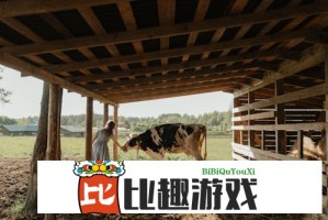 年值得关注的久久久国产精华液特点与使用效果