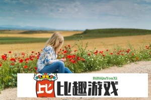 高质量发展中国行：中国高质量发展的全球影响与启示