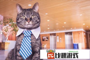 深度解析：马拉松月薪三万也快高攀不起了 背后的消费升级真相