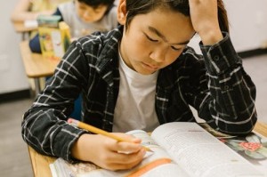 美政府请求最高法院允许政府效率部访问社会保障系统