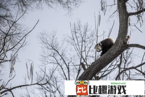 又见“清仓卸任”，融通基金百亿基金经理范琨因休产假离任