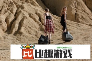 如何理解.c-起草红桃国际？它对国际合作有什么重要影响？