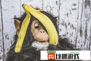 国际投资者为何选择此时从美国撤资？专家解读三大诱因