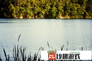 公翁的大龟挺进秀婷苏玥电影票房成绩如何？市场反应分析